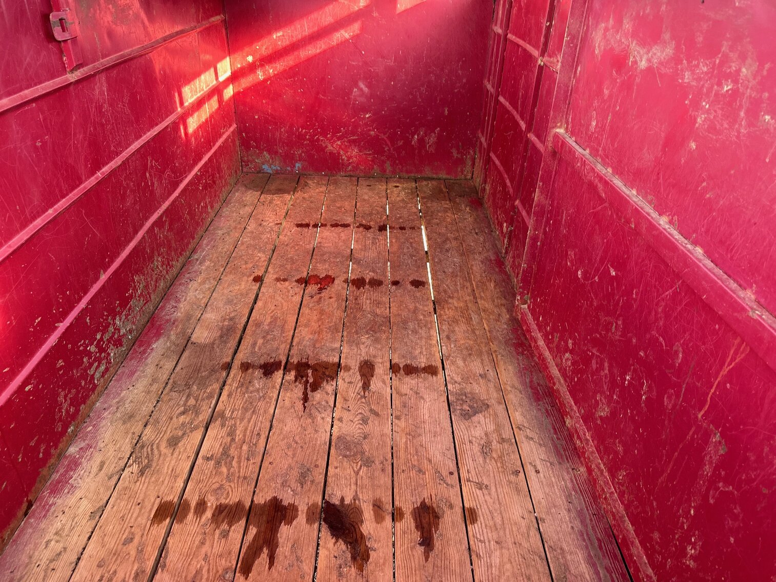 Image for SATURDAY, DECEMBER 3RD, AT 10 AM