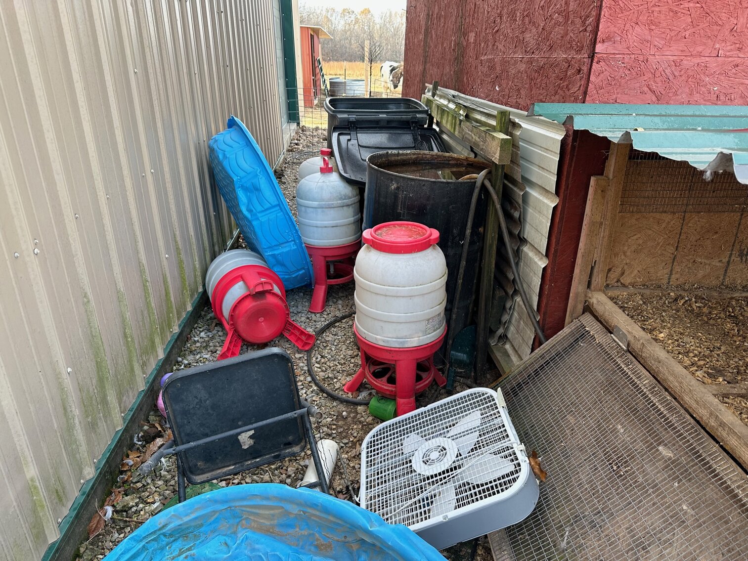 Image for SATURDAY, DECEMBER 3RD, AT 10 AM