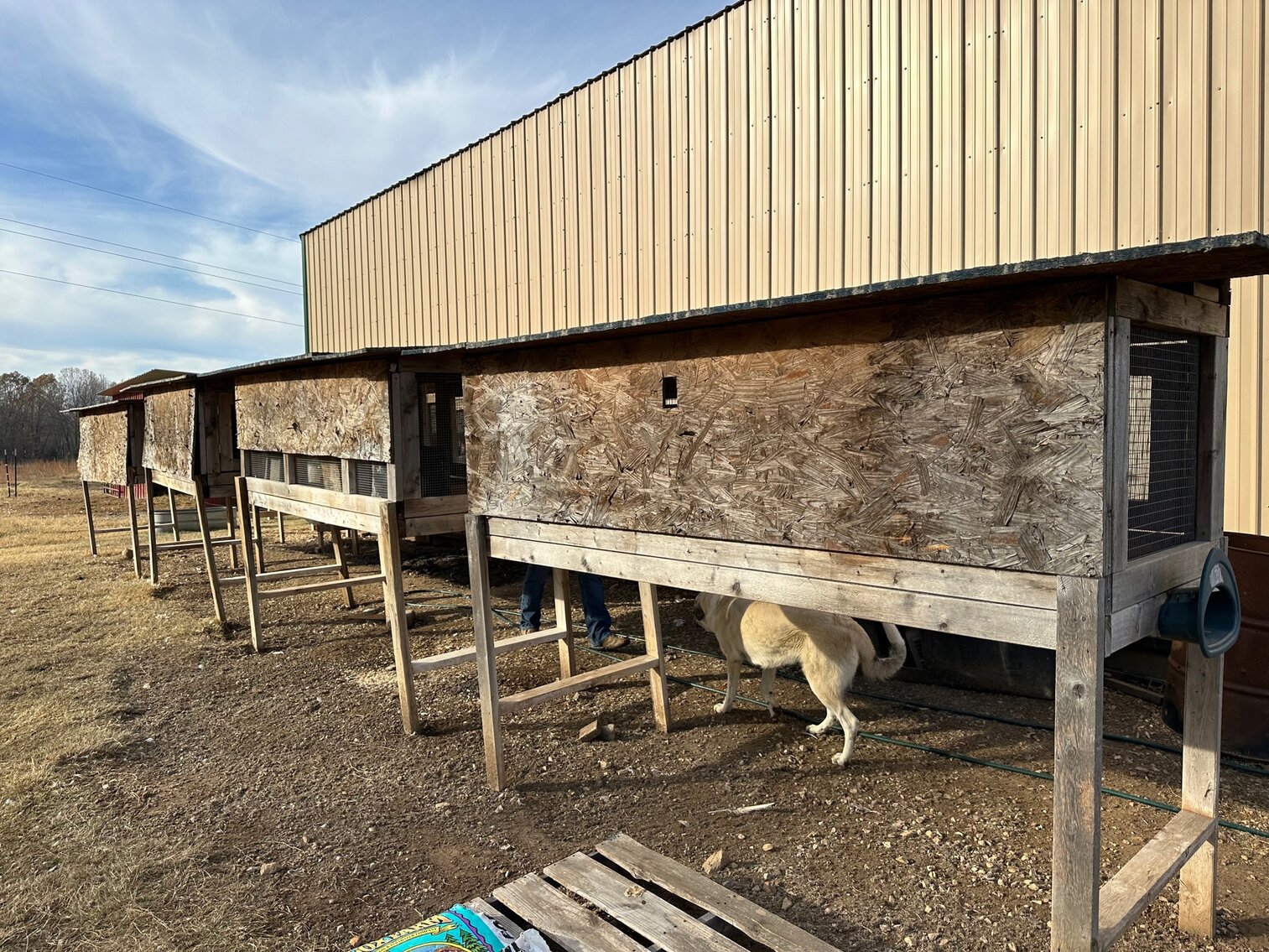 Image for SATURDAY, DECEMBER 3RD, AT 10 AM