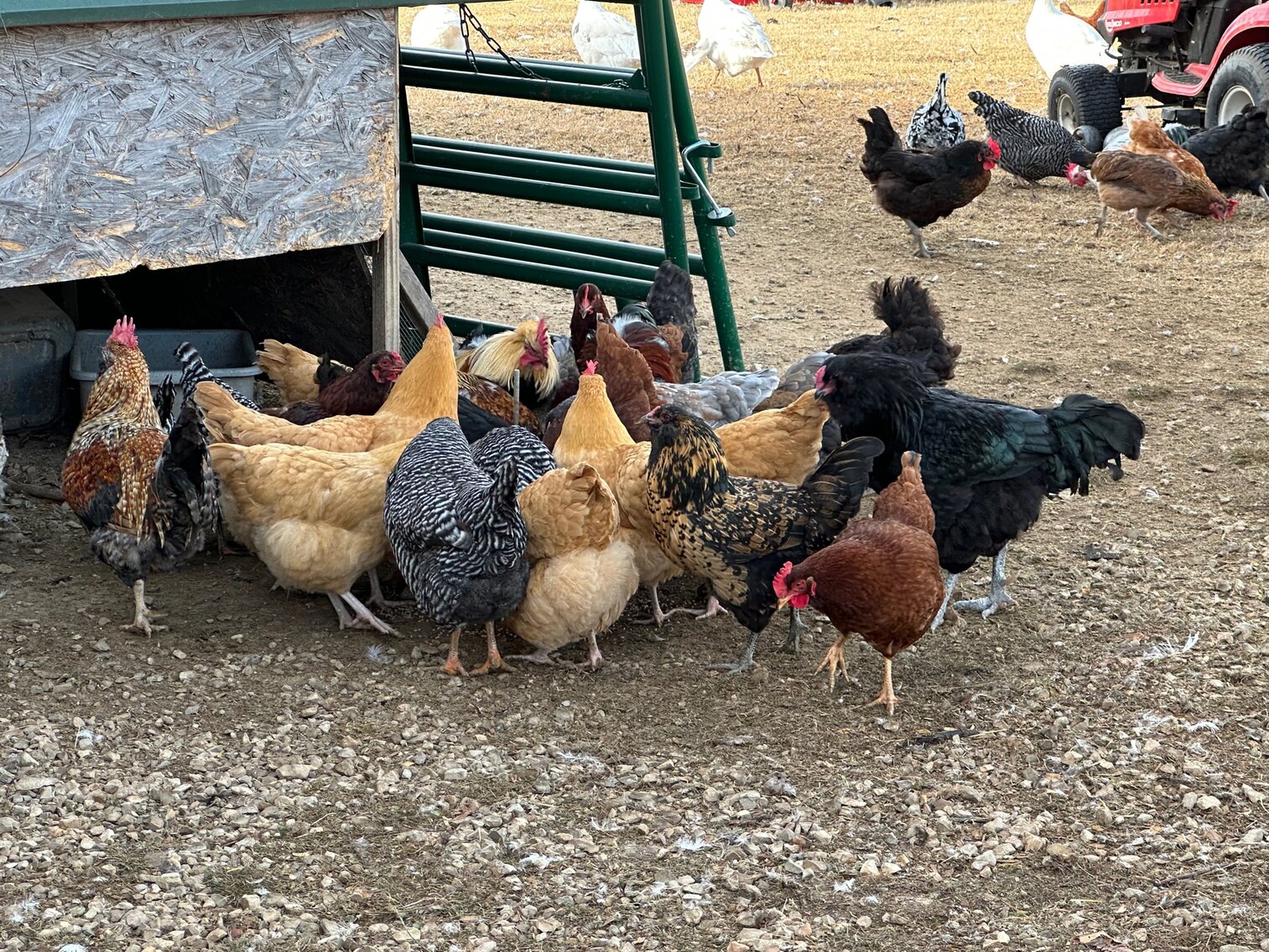 Image for SATURDAY, DECEMBER 3RD, AT 10 AM