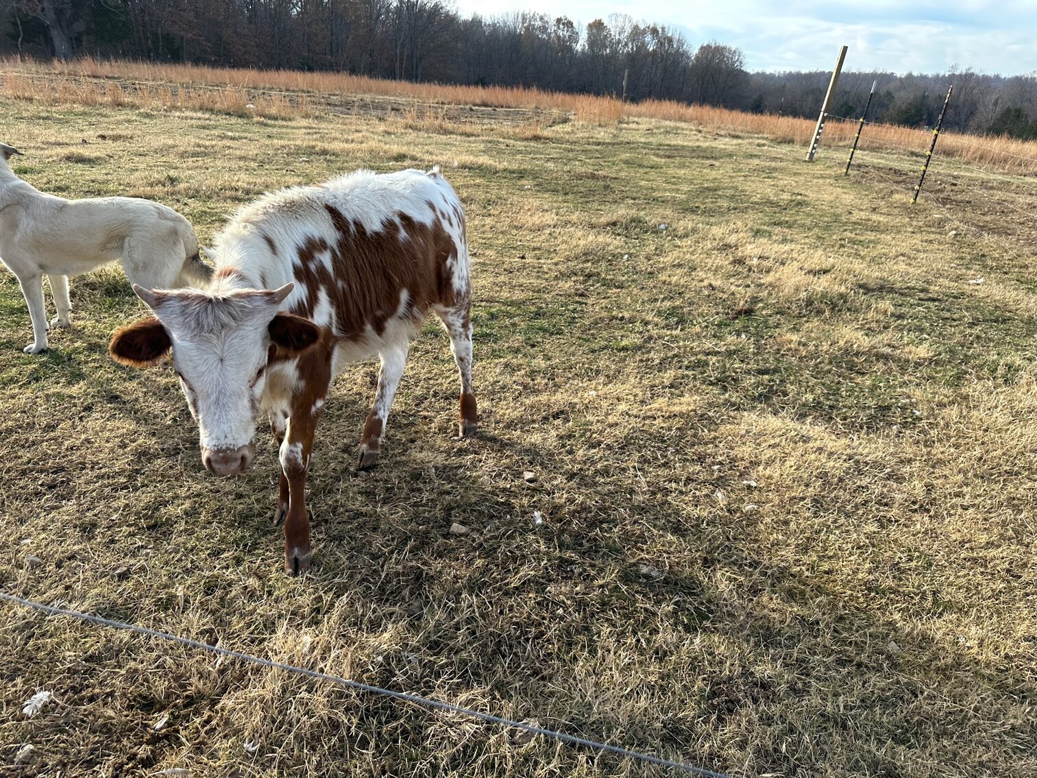 Image for SATURDAY, DECEMBER 10TH, AT 10 AM