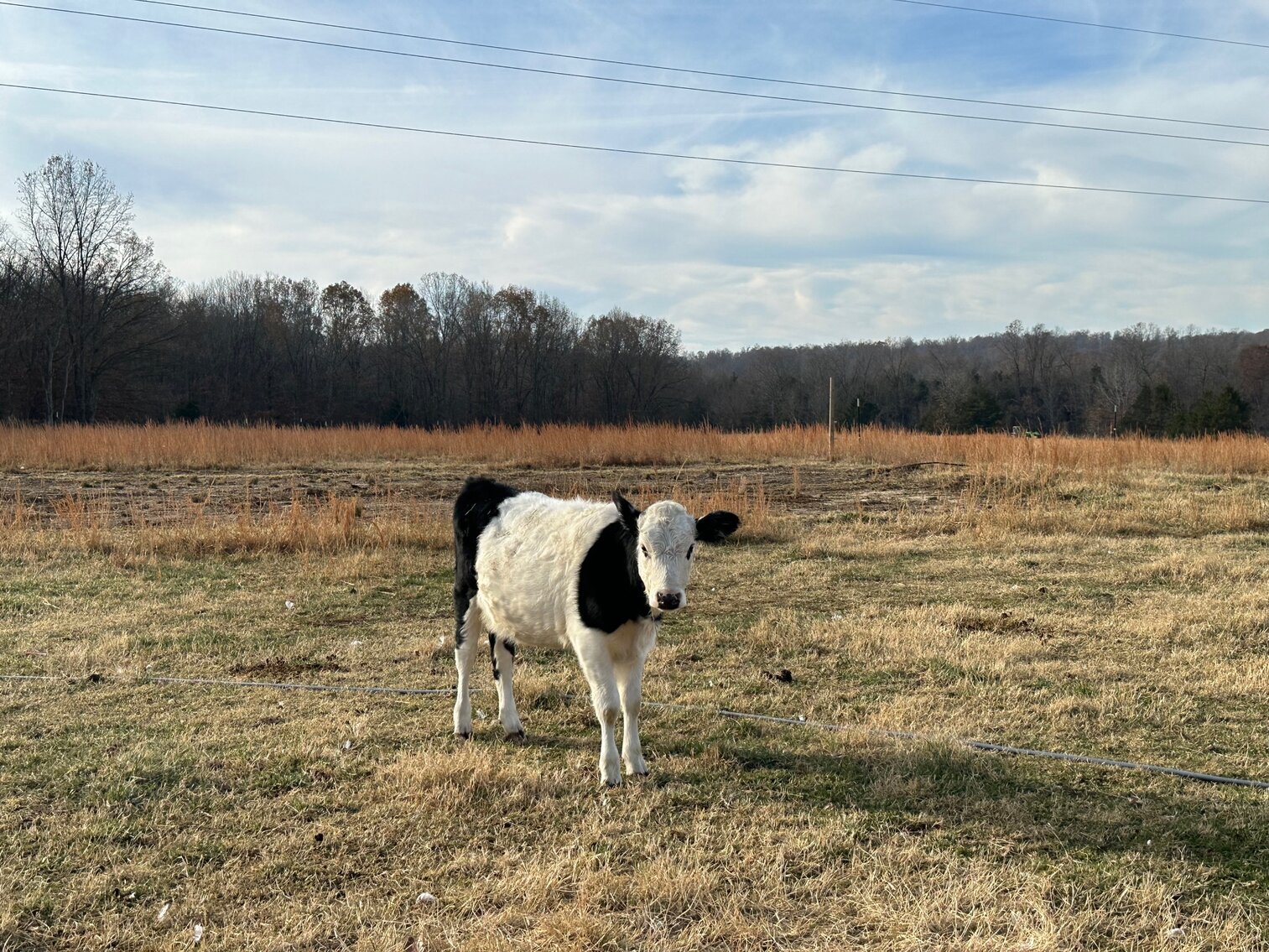 Image for SATURDAY, DECEMBER 10TH, AT 10 AM