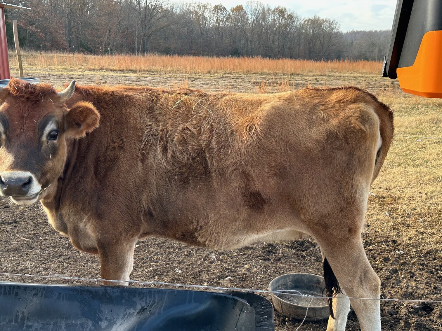 Image for SATURDAY, DECEMBER 10TH, AT 10 AM