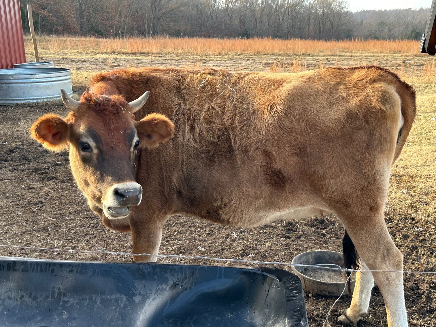 Image for SATURDAY, DECEMBER 10TH, AT 10 AM