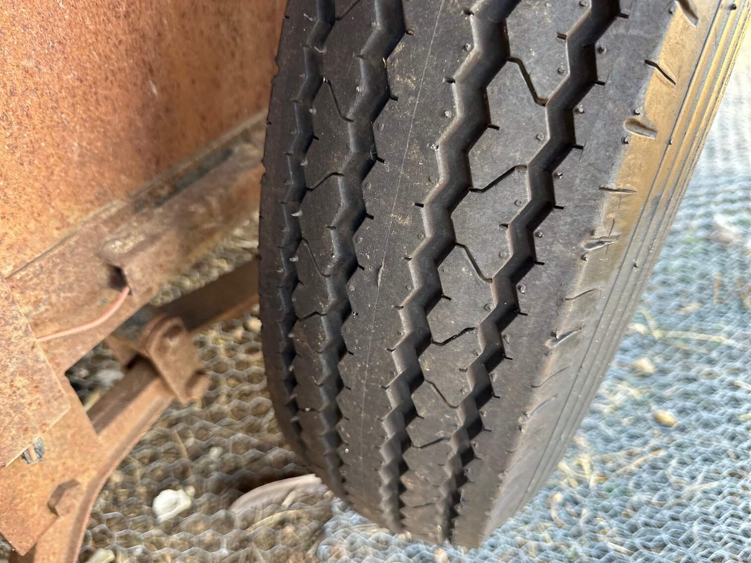 Image for SATURDAY, DECEMBER 10TH, AT 10 AM