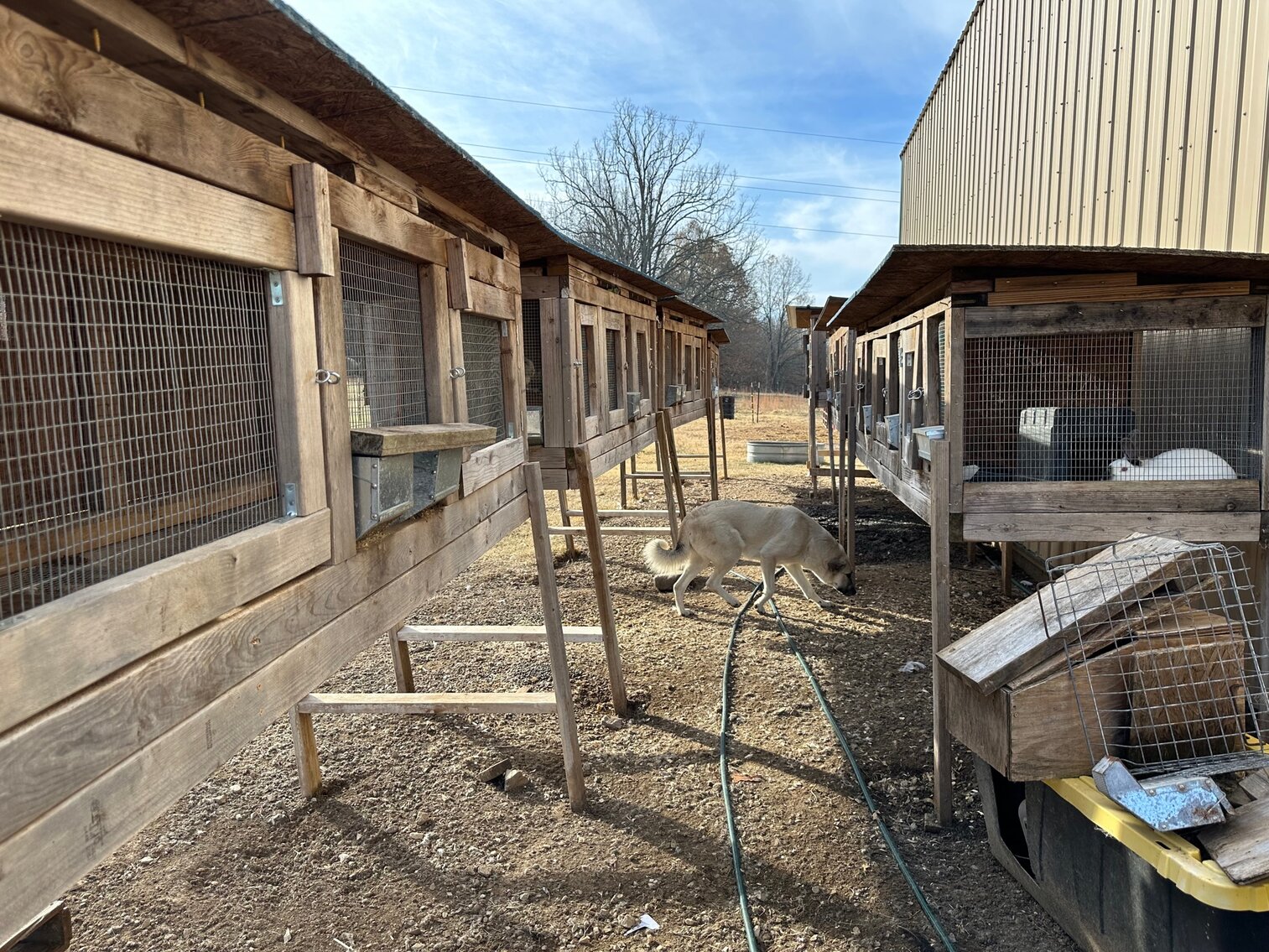 Image for SATURDAY, DECEMBER 10TH, AT 10 AM