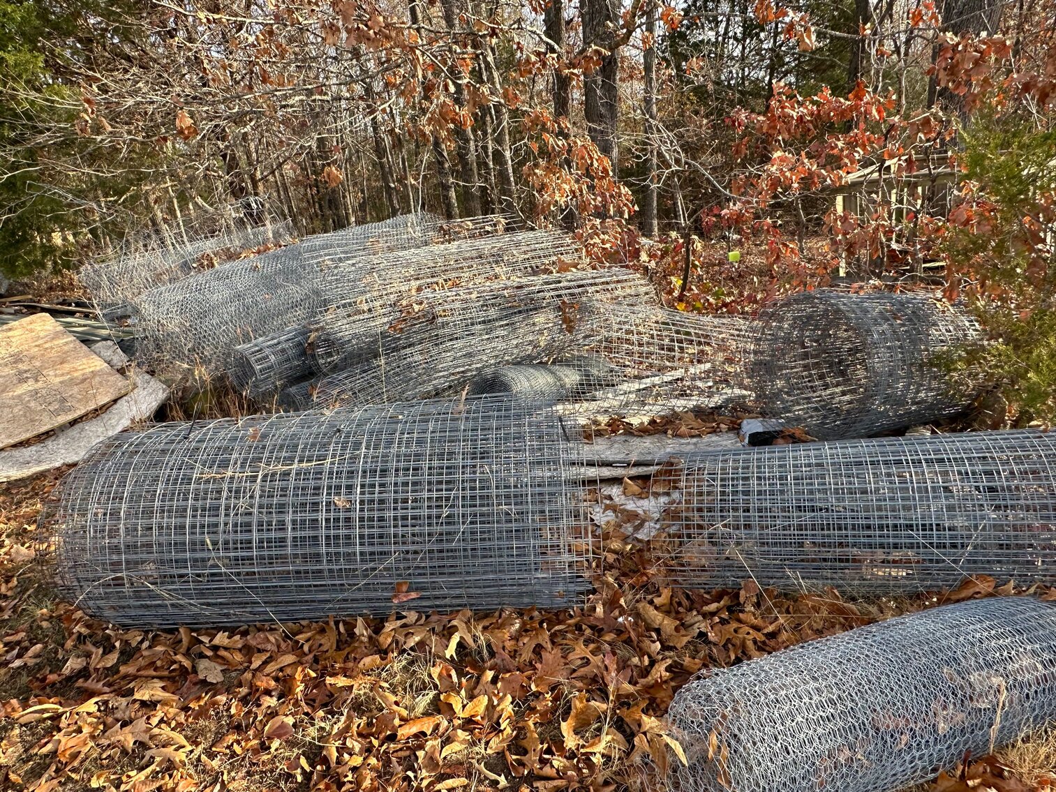 Image for SATURDAY, DECEMBER 10TH, AT 10 AM