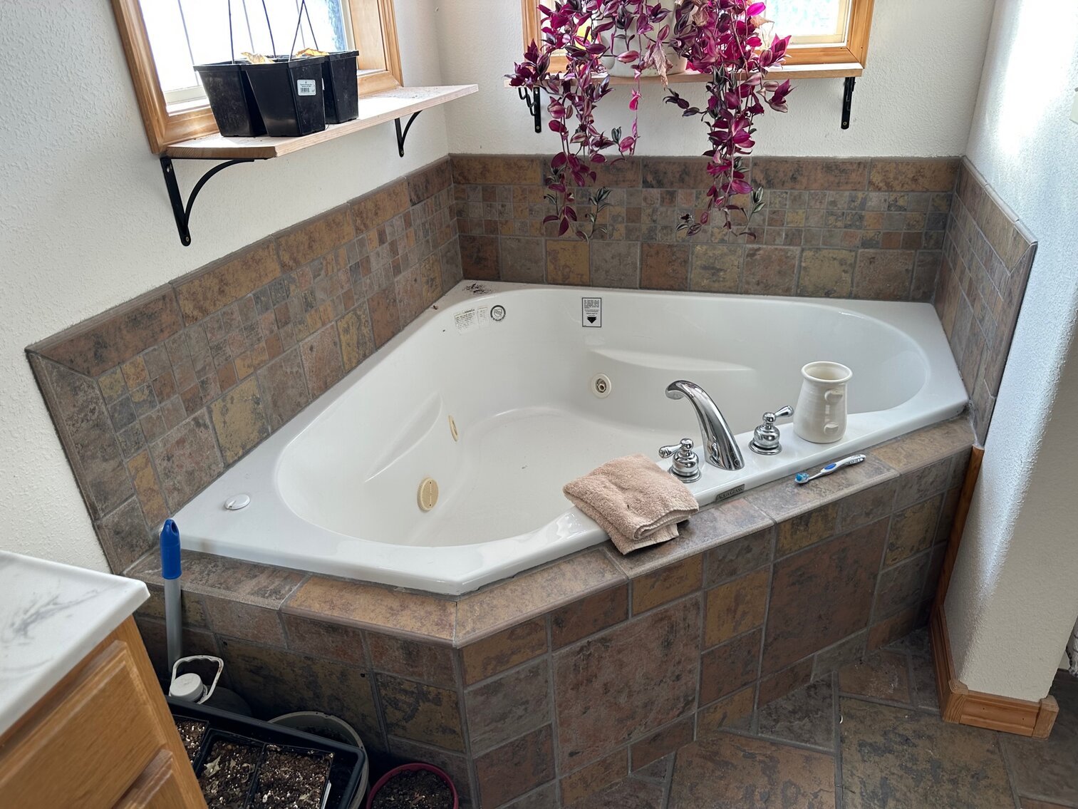 Image for SATURDAY, DECEMBER 10TH, AT 10 AM