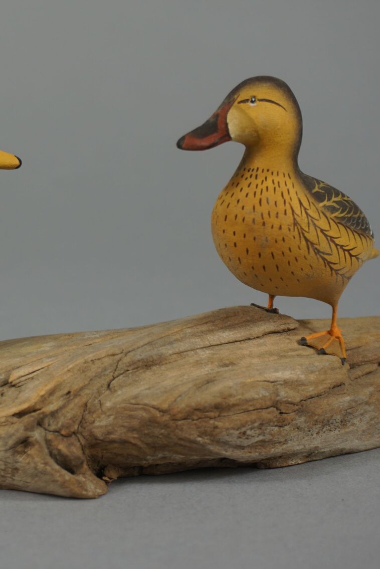 Image for December Online Sportsman's Auction 2022