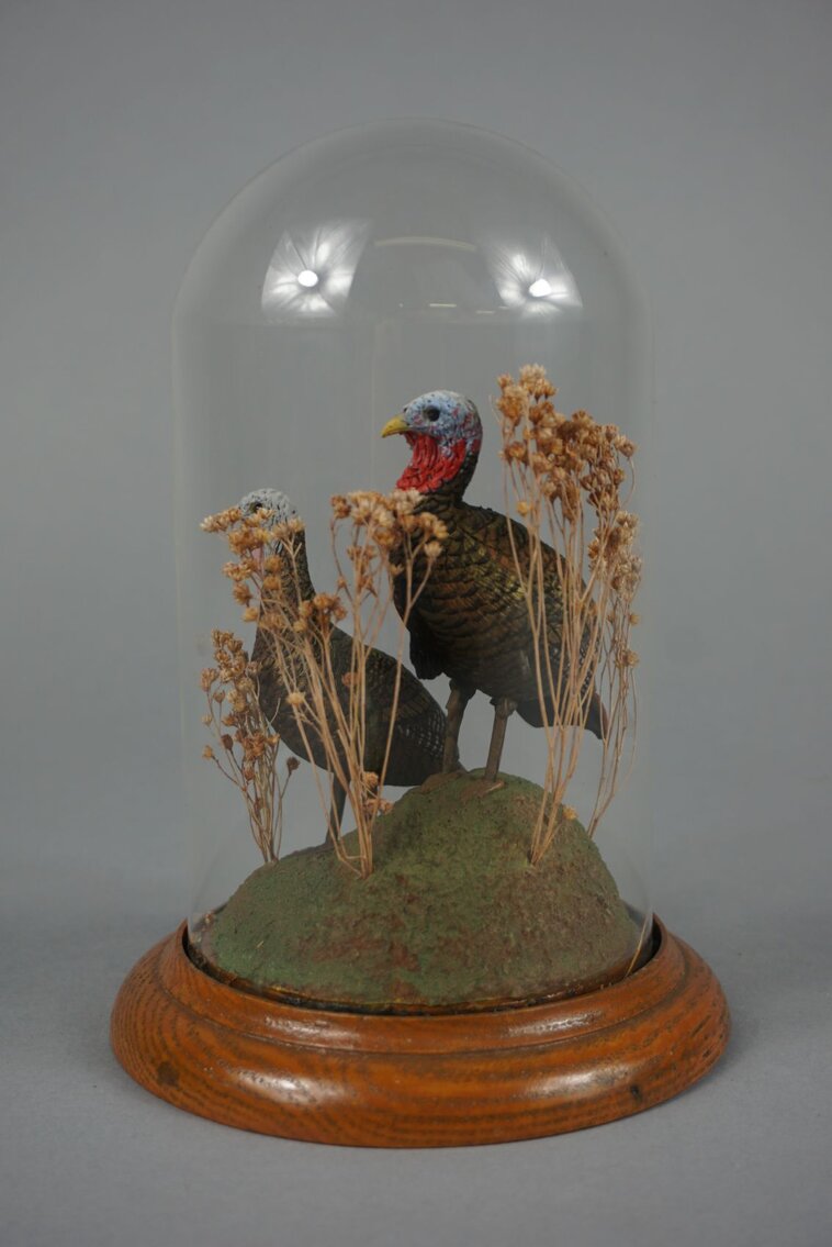 Image for December Online Sportsman's Auction 2022