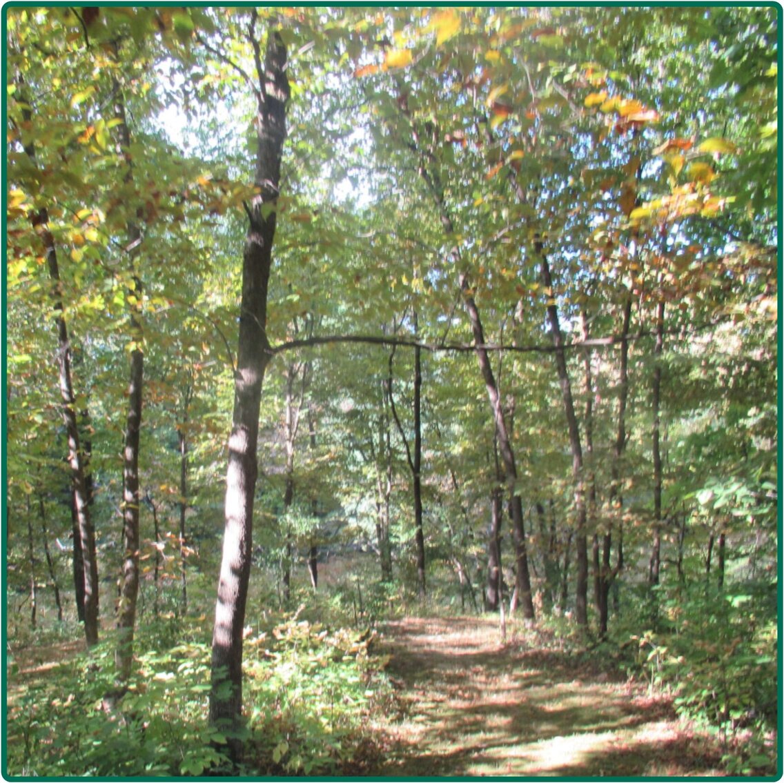 Image for Closed - Benton Co., IA - 191.00 Ac., m/l (010-2483-01)