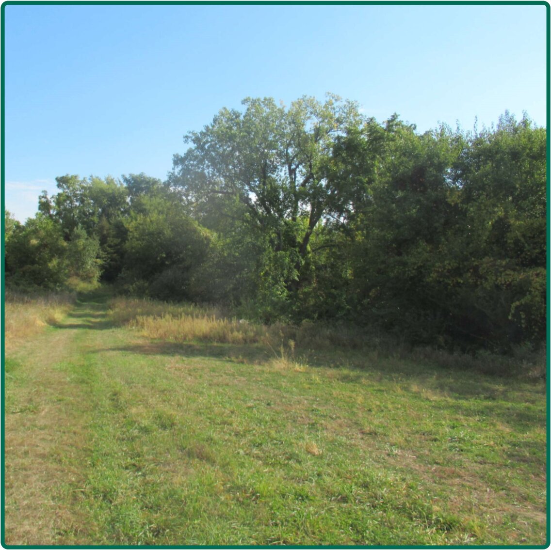 Image for Closed - Benton Co., IA - 191.00 Ac., m/l (010-2483-01)
