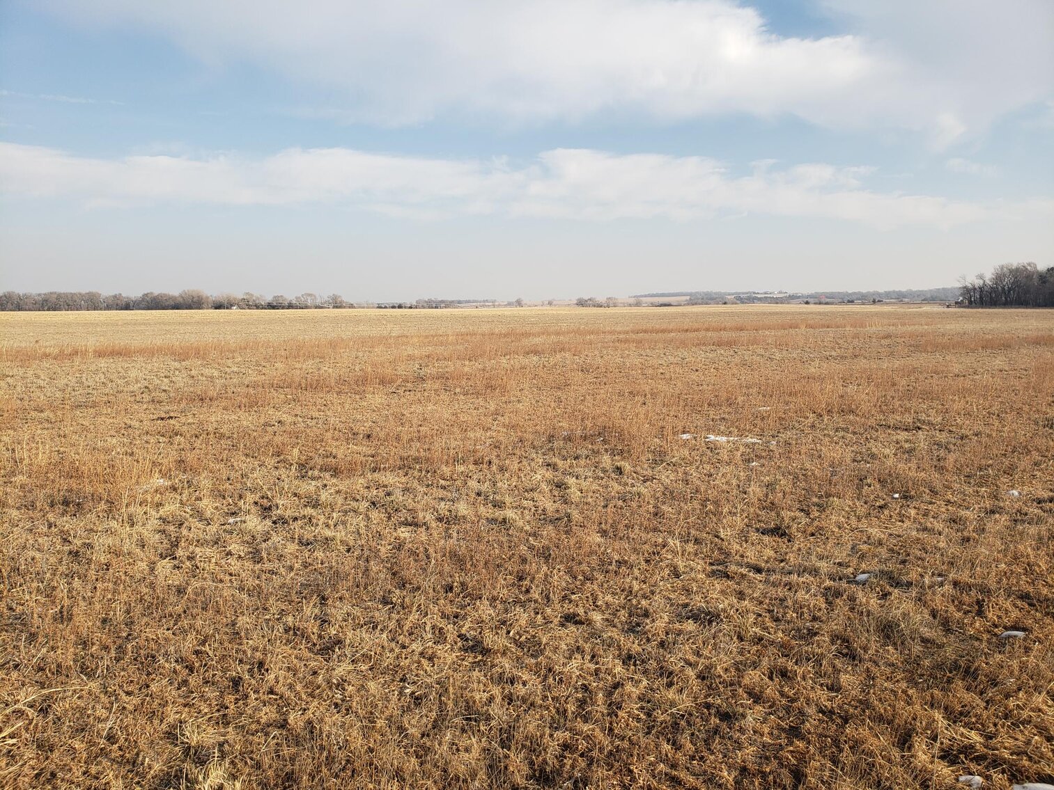 Image for 231.28+/- Acres in Antelope County, NE