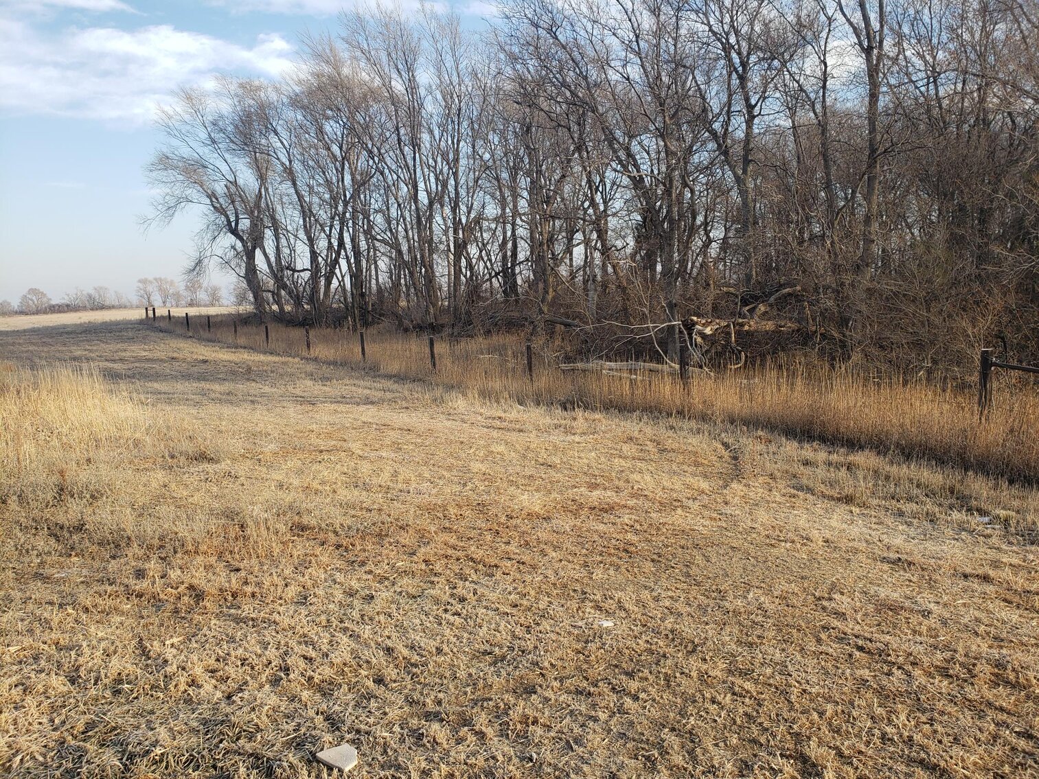 Image for 231.28+/- Acres in Antelope County, NE