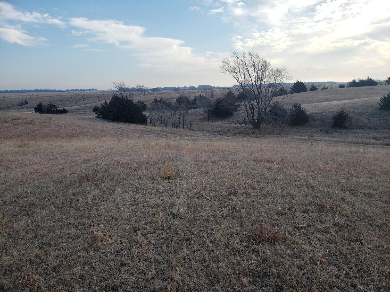 Image for 231.28+/- Acres in Antelope County, NE