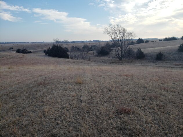 Image for 231.28+/- Acres in Antelope County, NE
