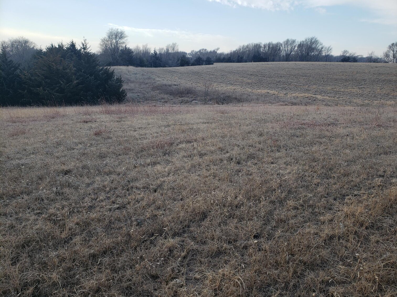 Image for 231.28+/- Acres in Antelope County, NE