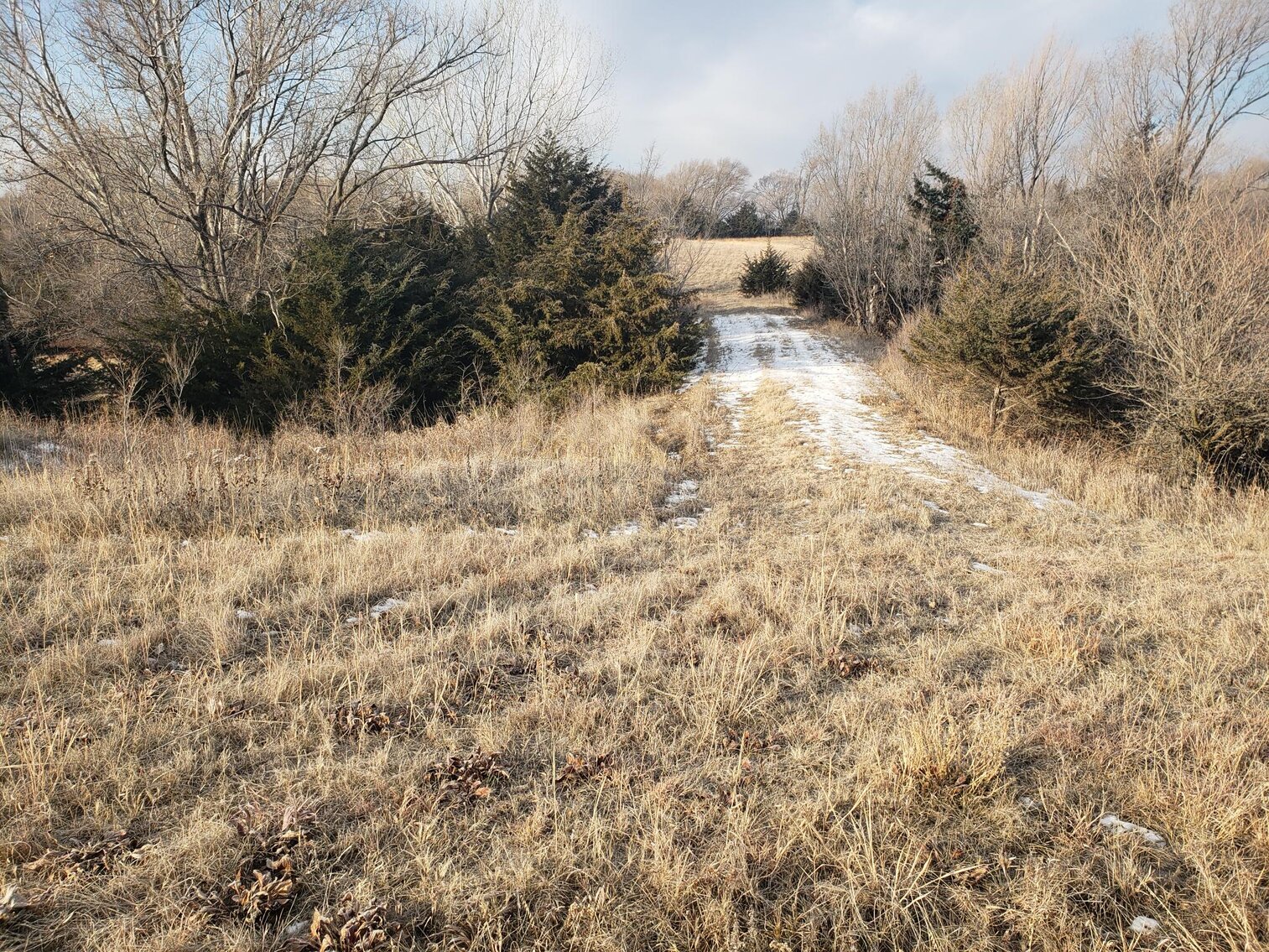 Image for 231.28+/- Acres in Antelope County, NE