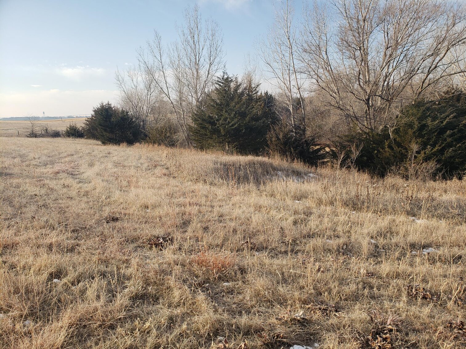 Image for 231.28+/- Acres in Antelope County, NE