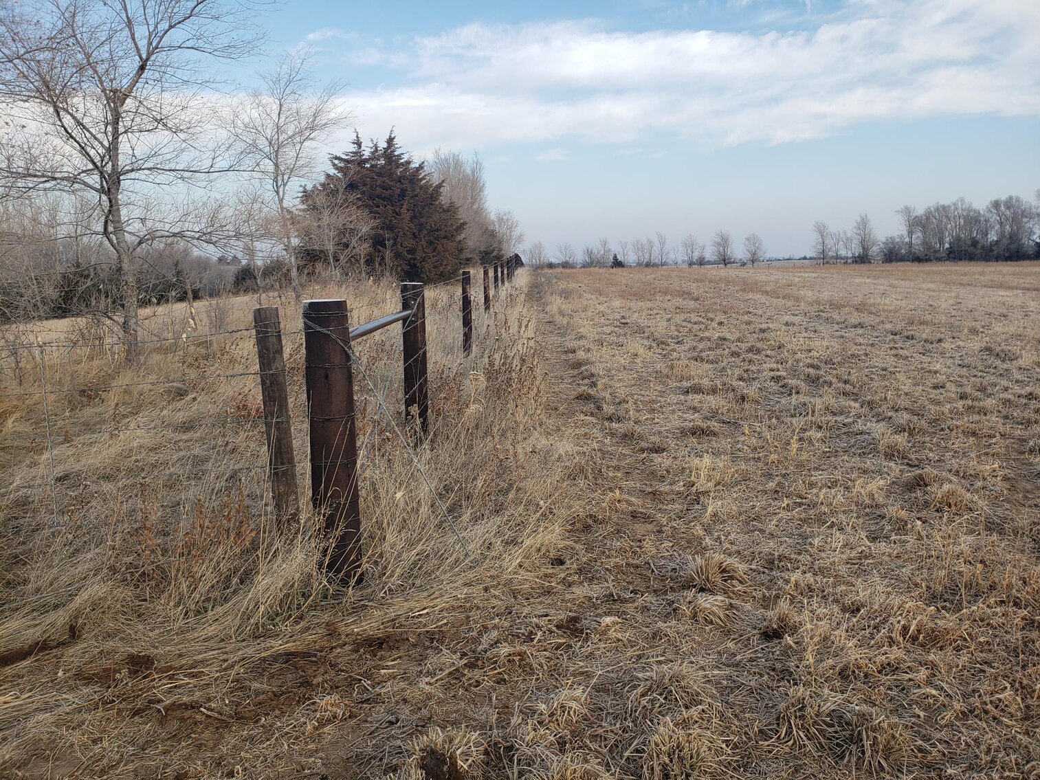 Image for 231.28+/- Acres in Antelope County, NE