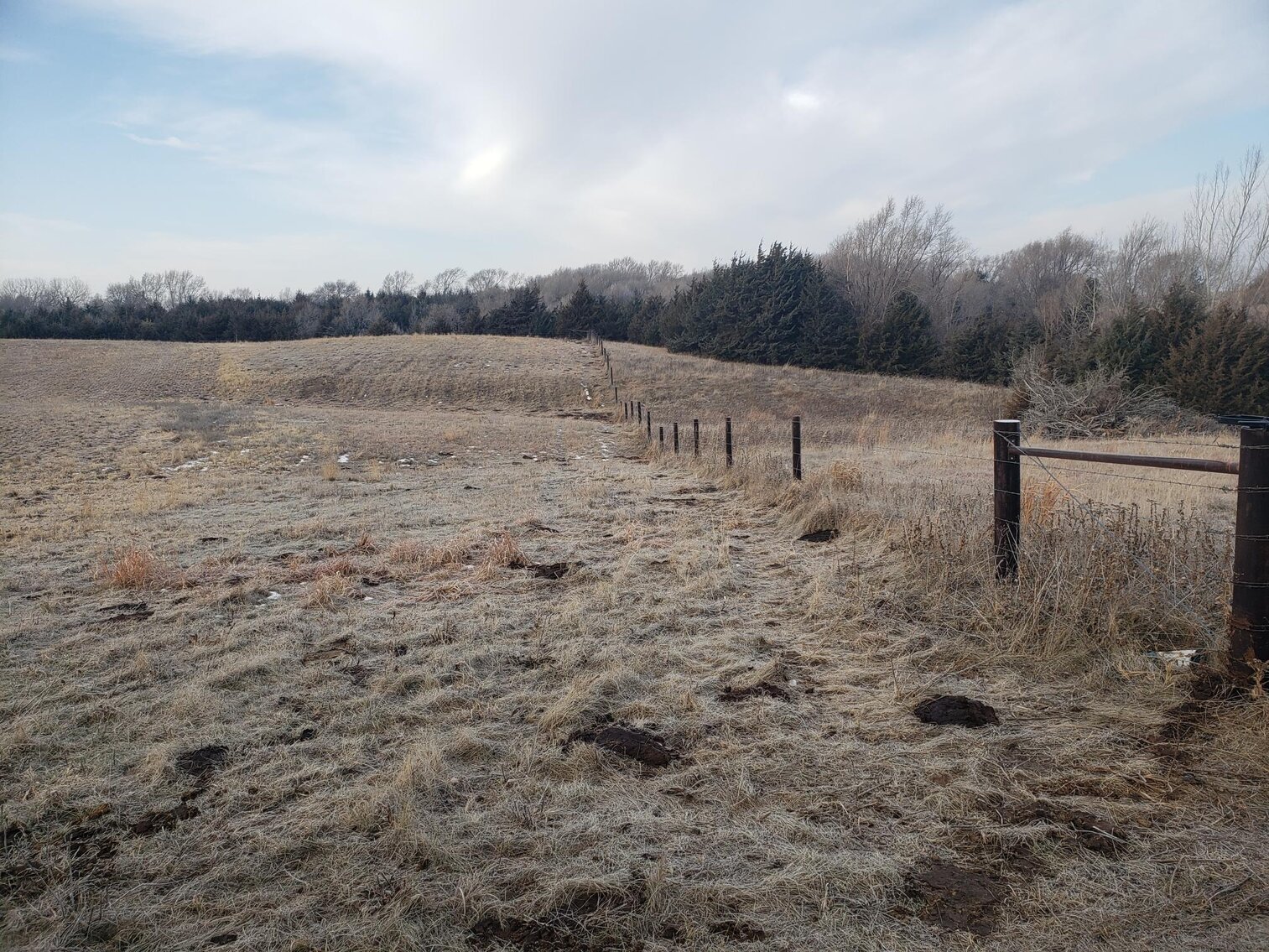 Image for 231.28+/- Acres in Antelope County, NE