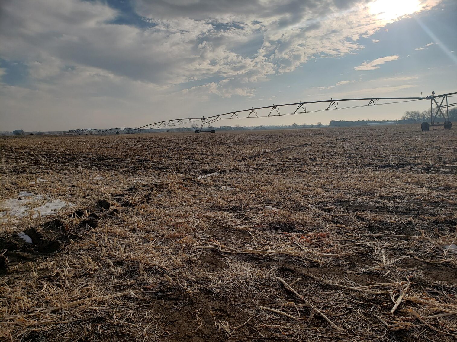 Image for 231.28+/- Acres in Antelope County, NE