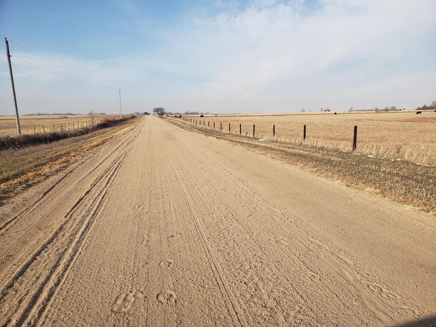 Image for 231.28+/- Acres in Antelope County, NE