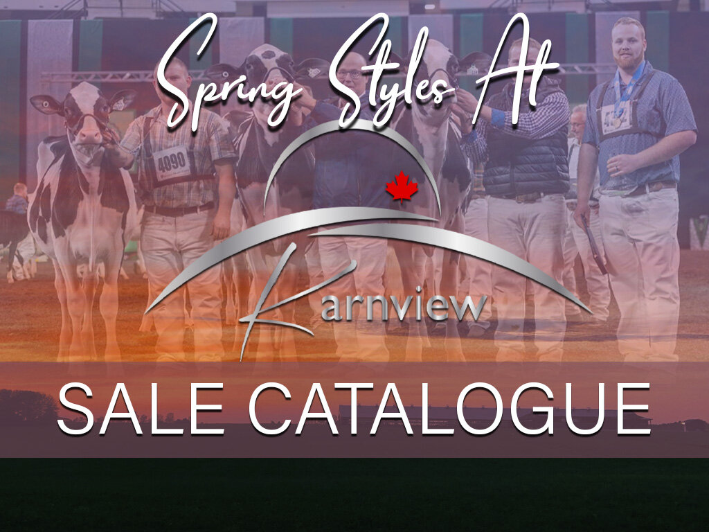 Sale Catalogue