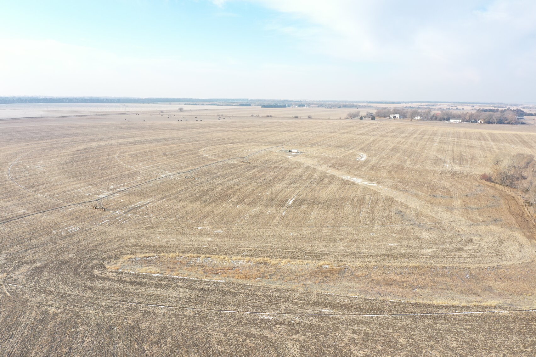 Image for 231.28+/- Acres in Antelope County, NE