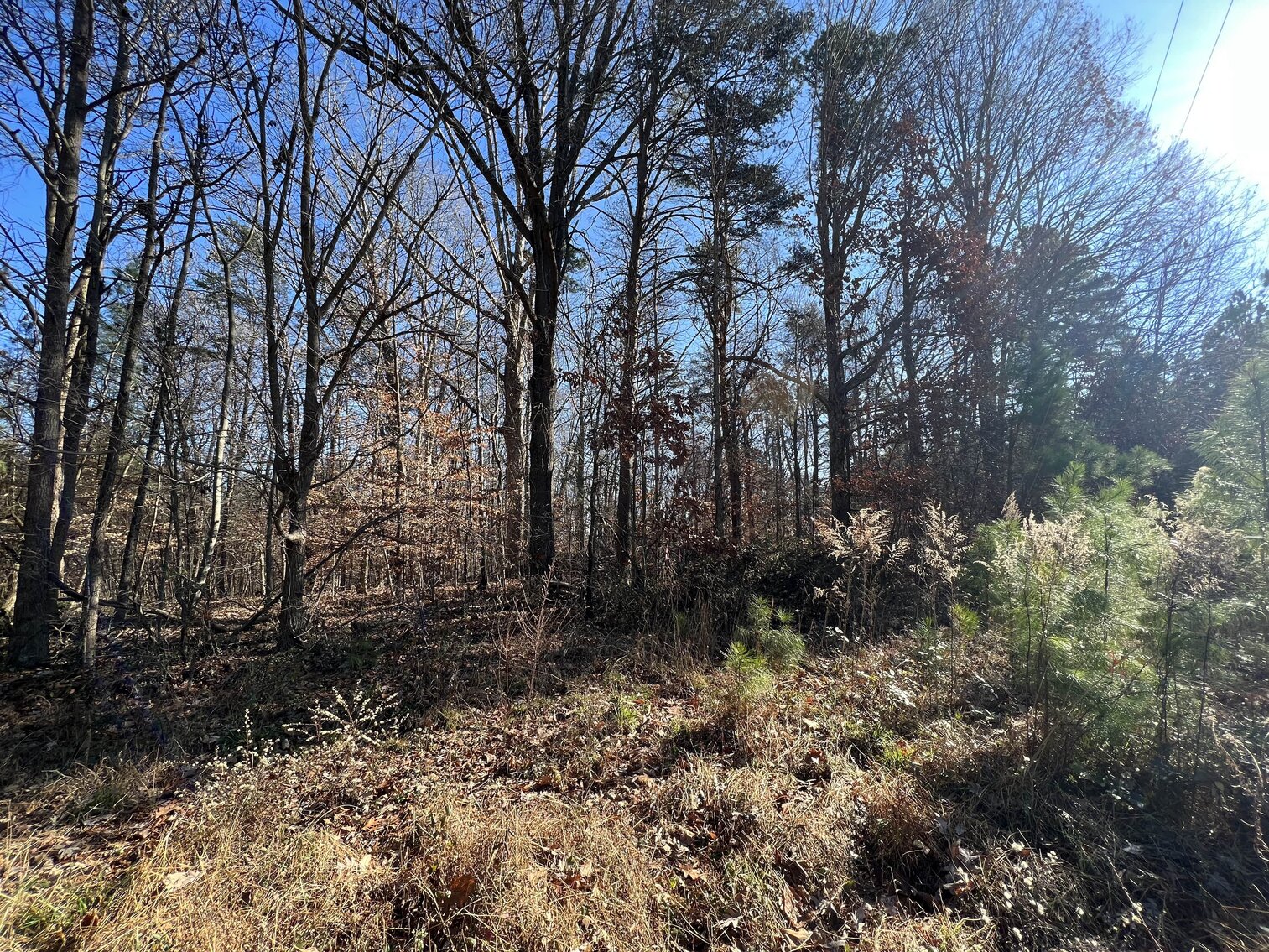 Image for 5.41 acres on Wiley Davis Road, Greensboro, NC 27407