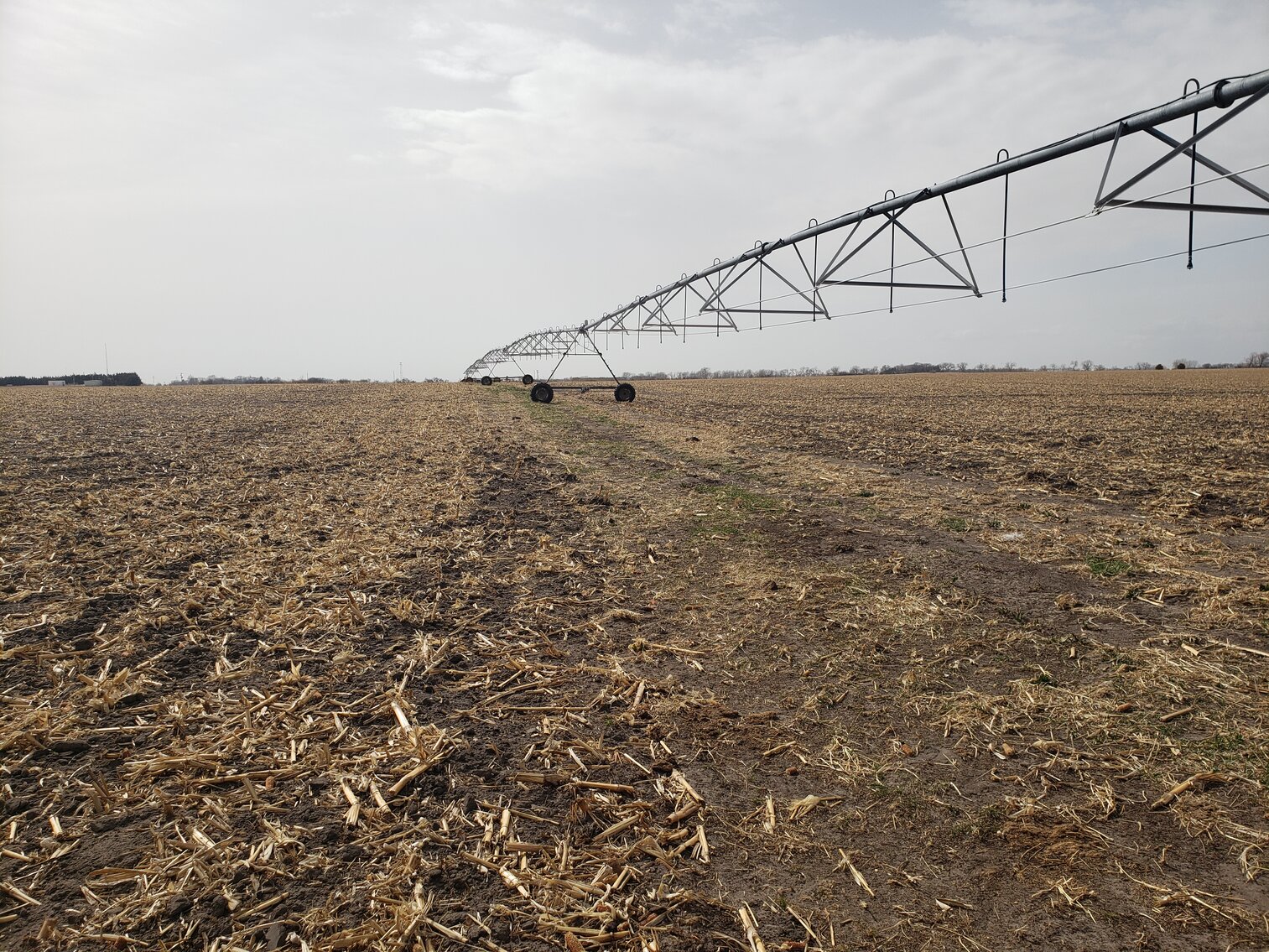 Image for 319.4+/- Acres near Emmet, NE