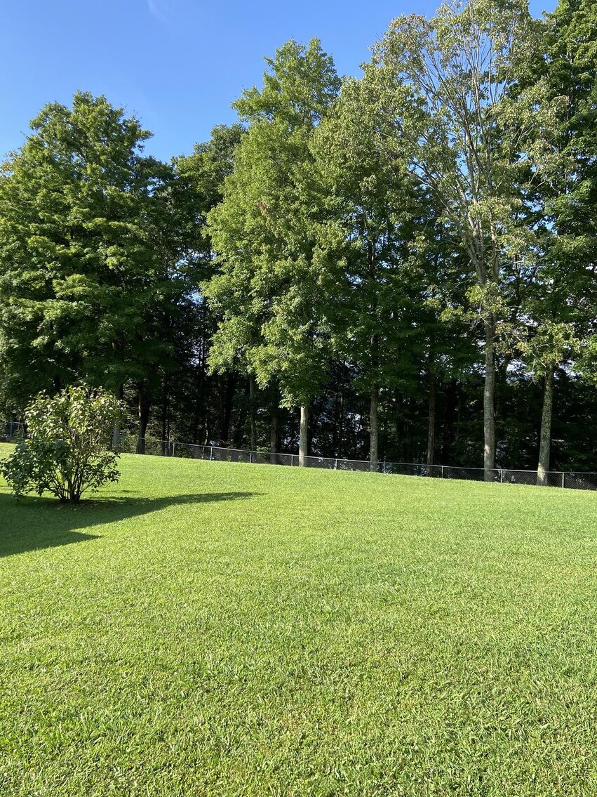 Image for SOLD $495,000 - Beautiful 3 Bedroom on 1-Acre on Summersville Lake