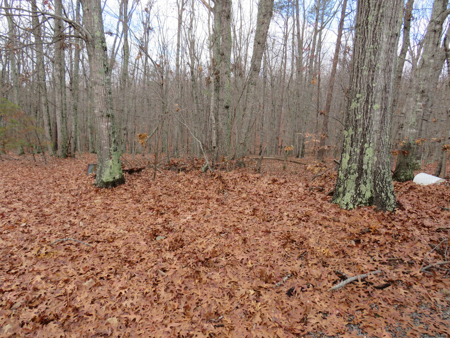 Image for 1162 Candlers Mountain Road Rustburg VA 24588