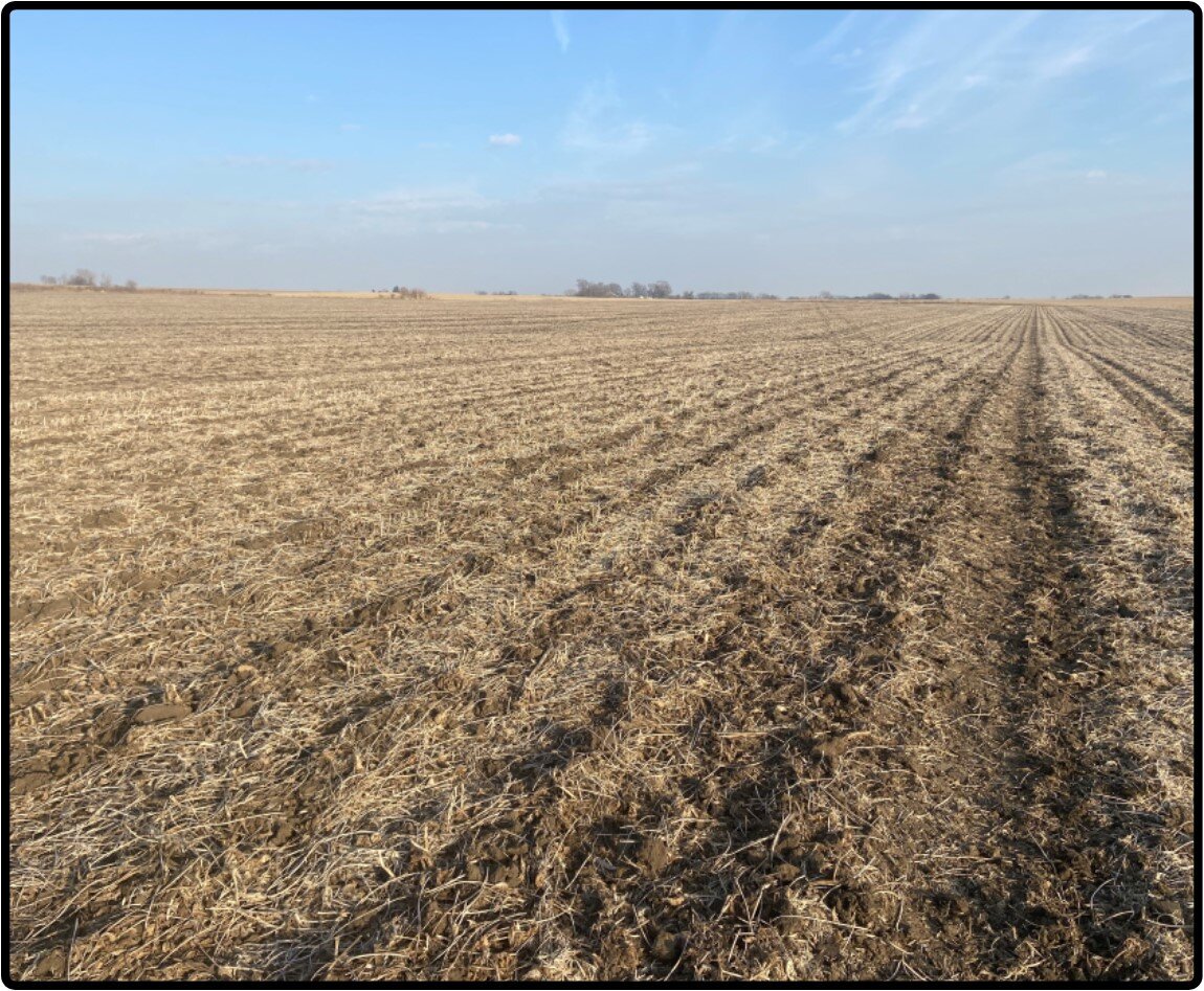 Image for Sale Pending - Cedar Co., IA - 115.71 Ac., m/l (010-2187-01)