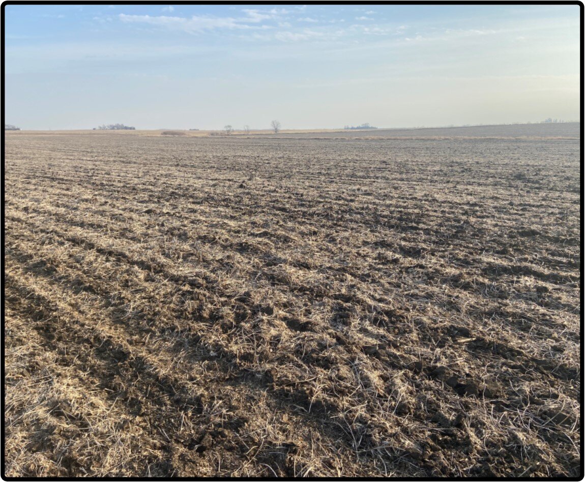 Image for Sale Pending - Cedar Co., IA - 115.71 Ac., m/l (010-2187-01)