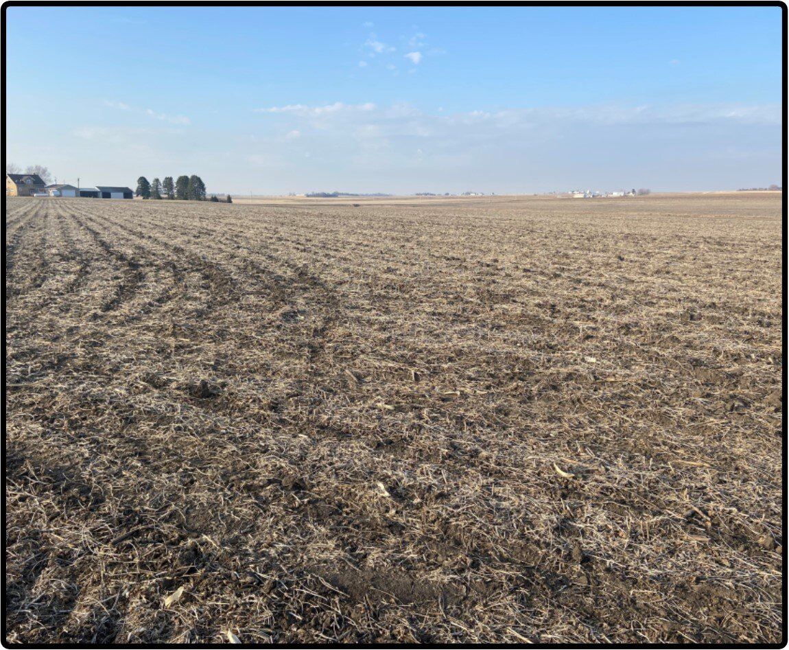 Image for Sale Pending - Cedar Co., IA - 115.71 Ac., m/l (010-2187-01)