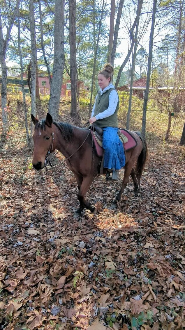 Rosie - Bay Roan Pony Mare