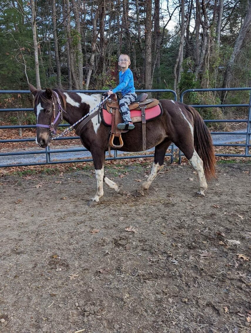 Buffy - SSH Mare