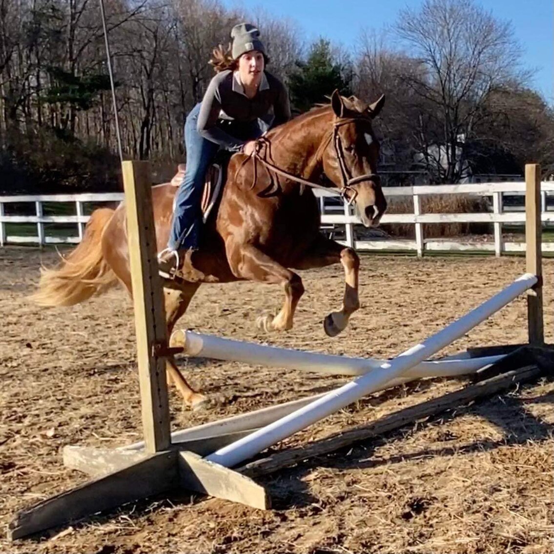Call Me The King - 2011 APHA Gelding - VIDEO
