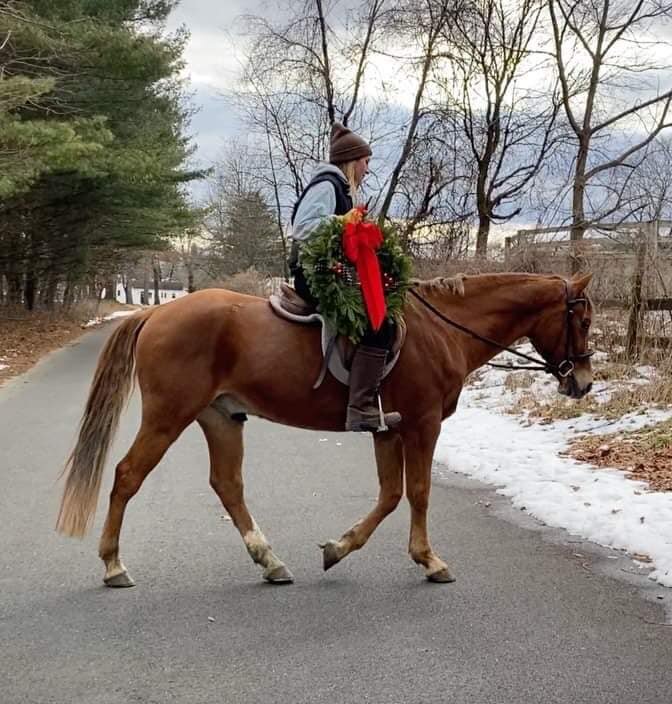Walter - Chestnut Pony Gelding - VIDEO