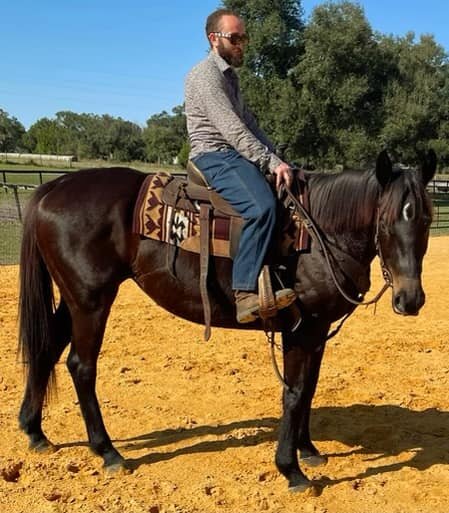 Alli - Black TB Mare