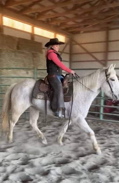 Top Cut Doc - 2007 Grey AQHA Mare