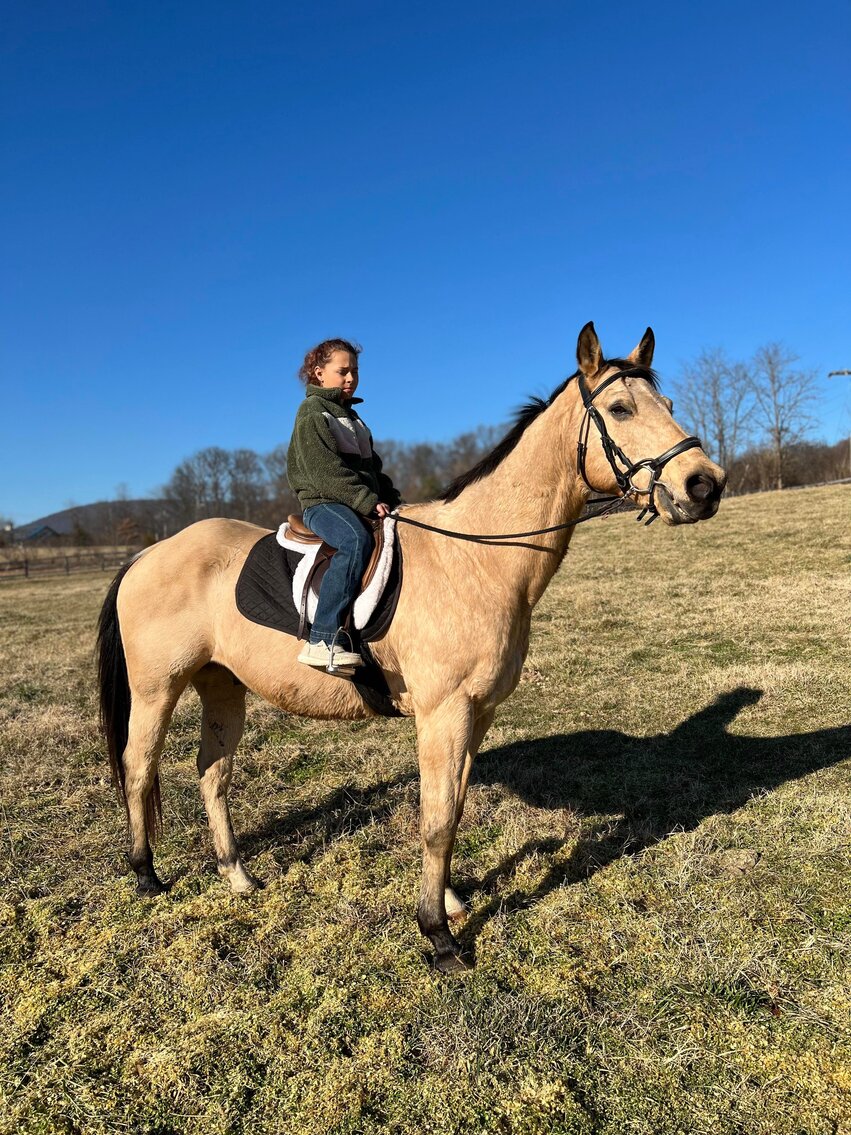 Hatchet - Buckskin QH Gelding-VIDEO