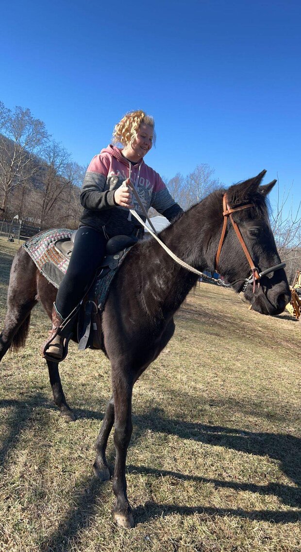Xena - Black Filly