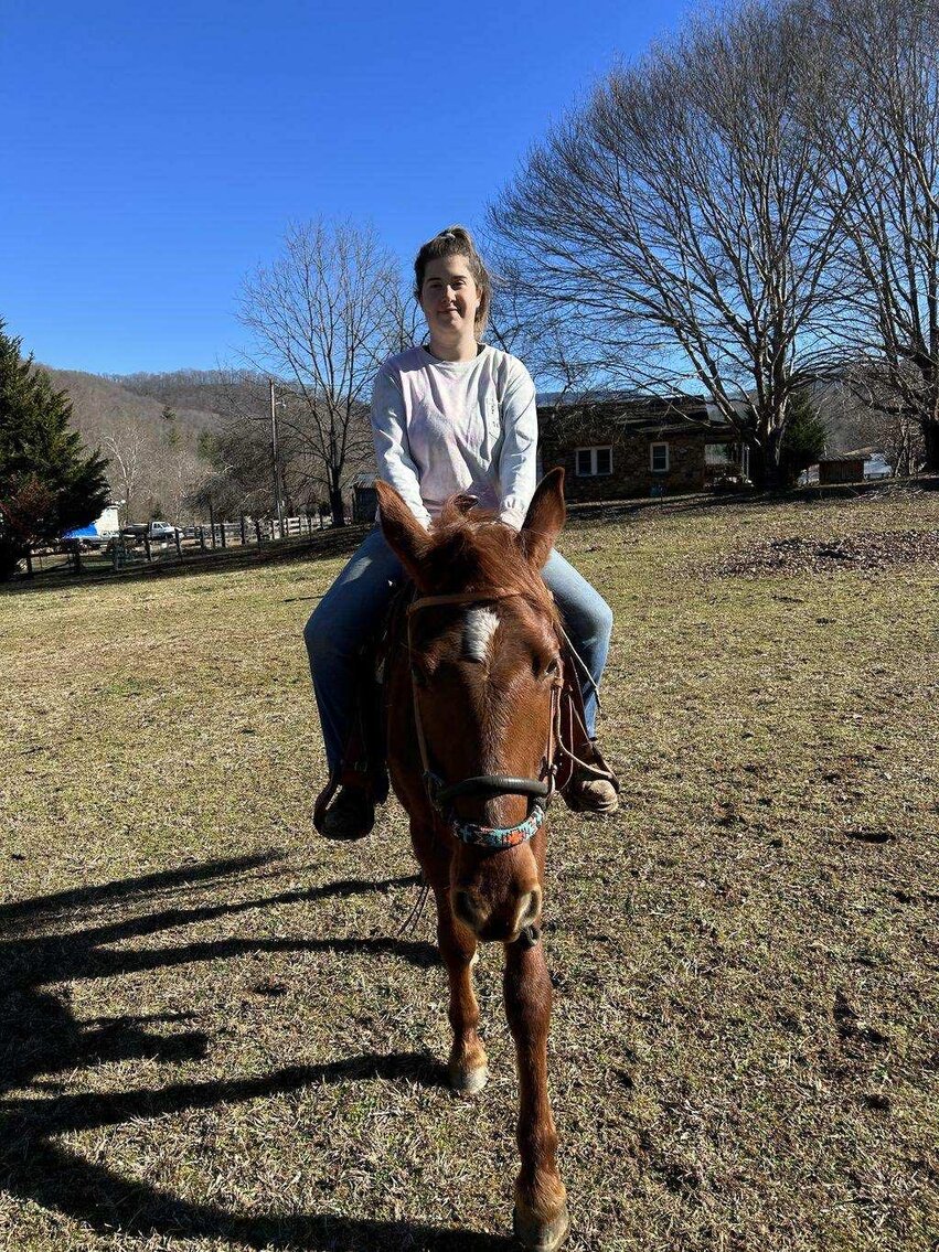 Charlie - Sorrel ASB Gelding