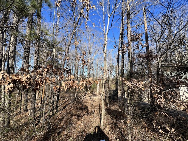 Image for Hanover County, VA Sale of Tax Delinquent Real Estate