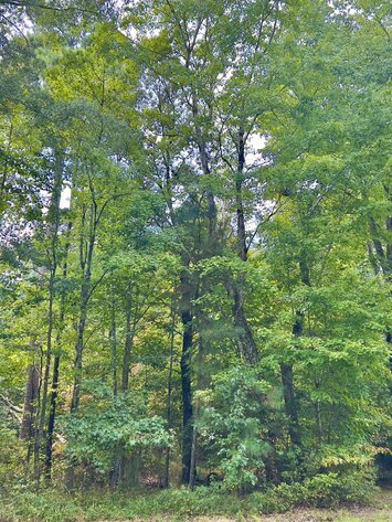 Image for Middlesex County, VA Sale of Tax Delinquent Real Estate