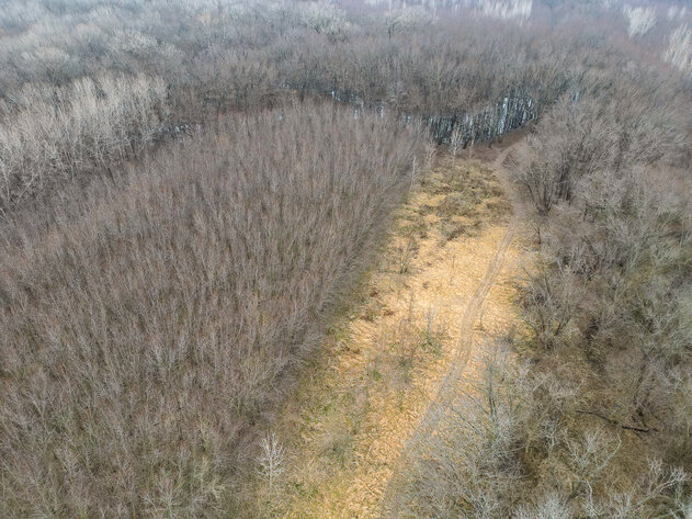 Image for Sangamon County, IL 58.22 Acres