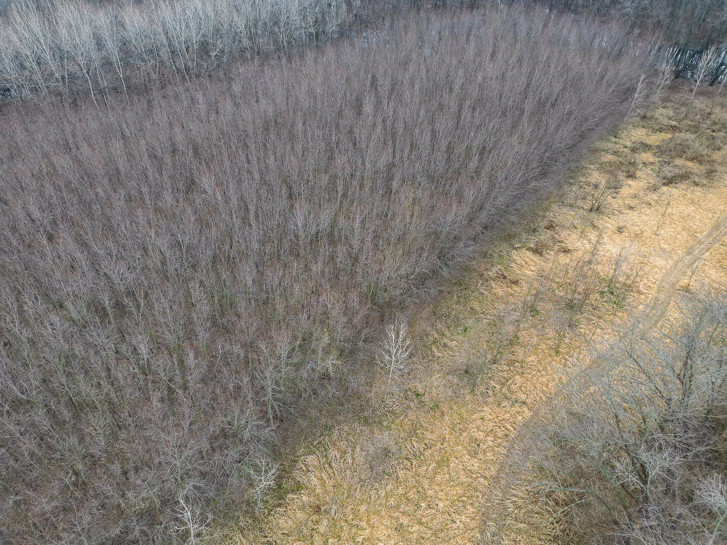 Image for Sangamon County, IL 58.22 Acres