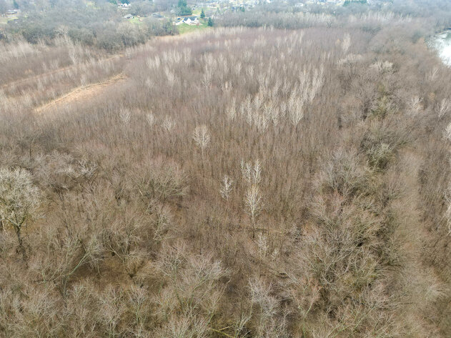 Image for Sangamon County, IL 58.22 Acres